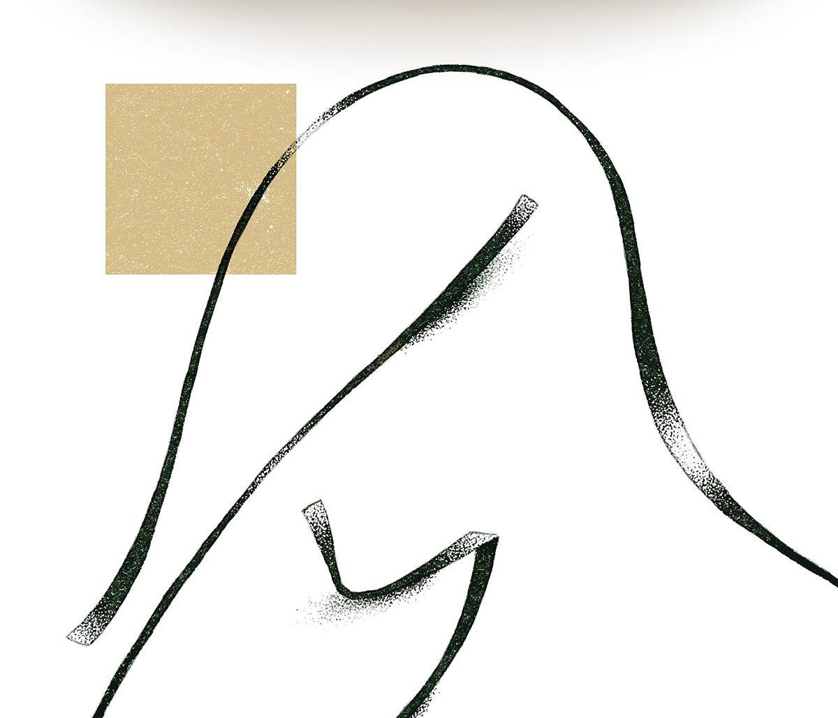 Oliwski Park Illustrations