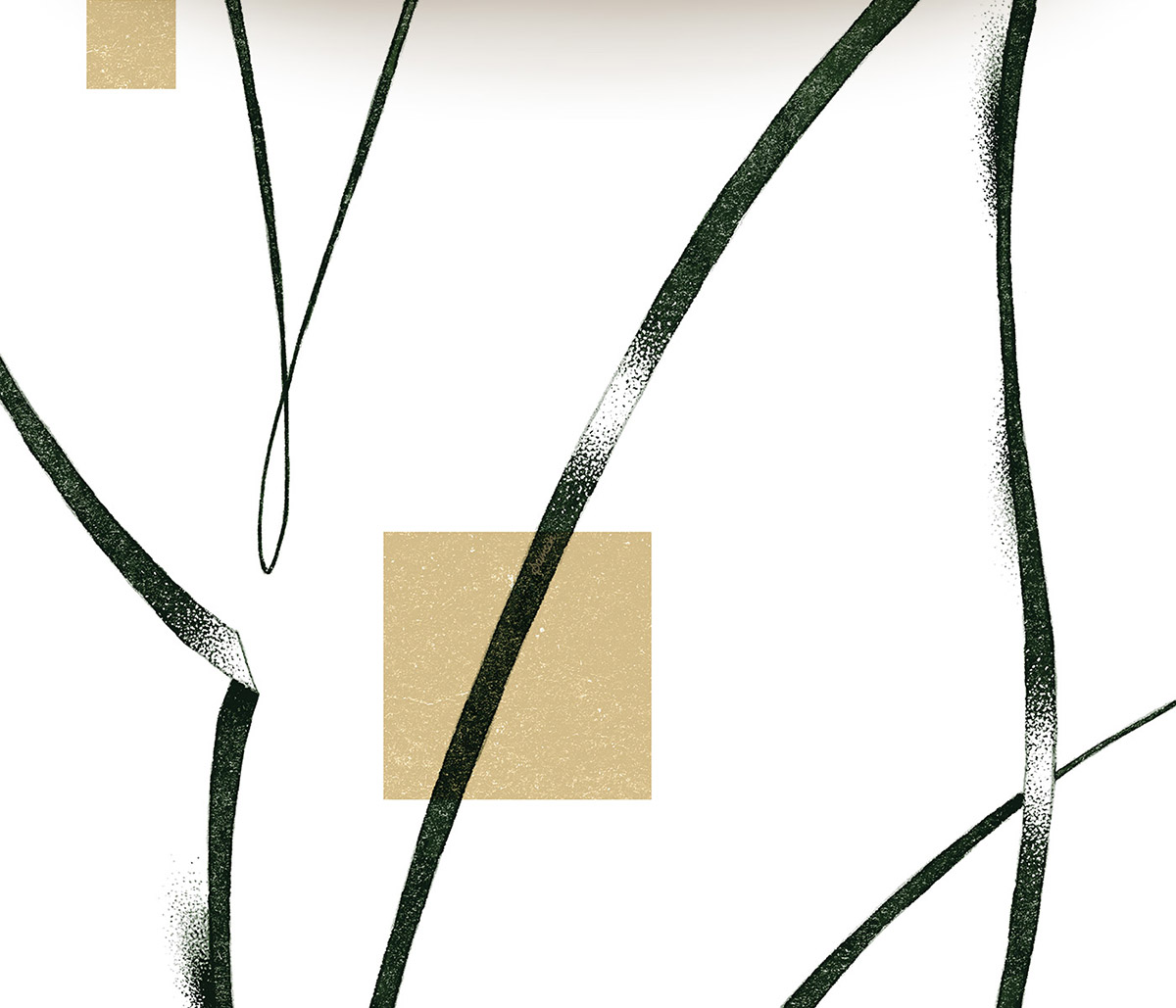 Oliwski Park Illustrations