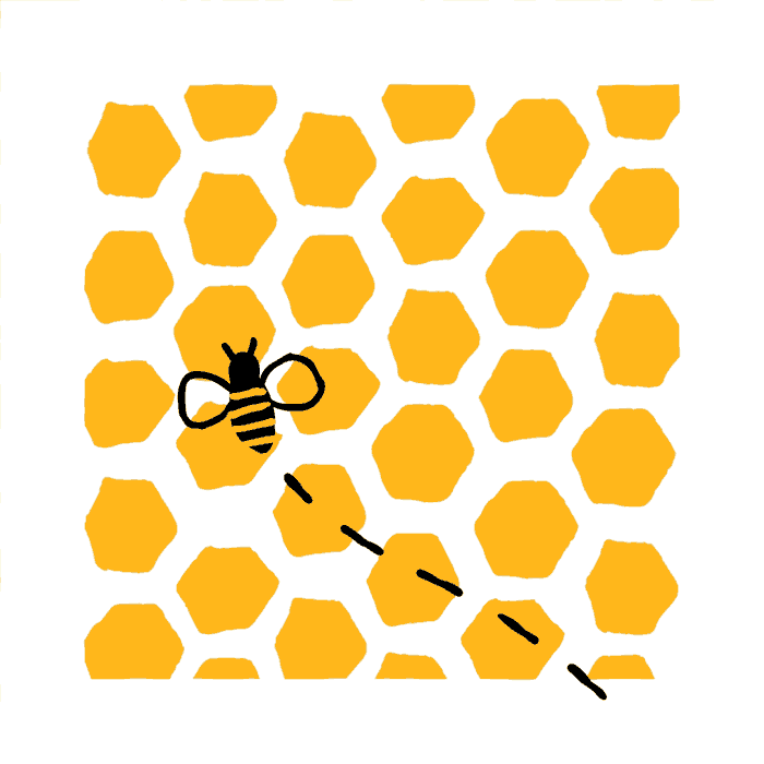 FRANT_post_czerwiec_plastry_miodu