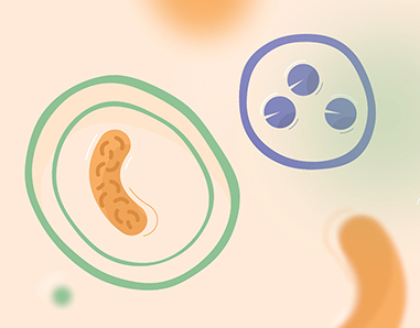 Autophagy Explained (Director's Cut)