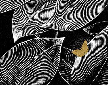 Antracyt Apartaments