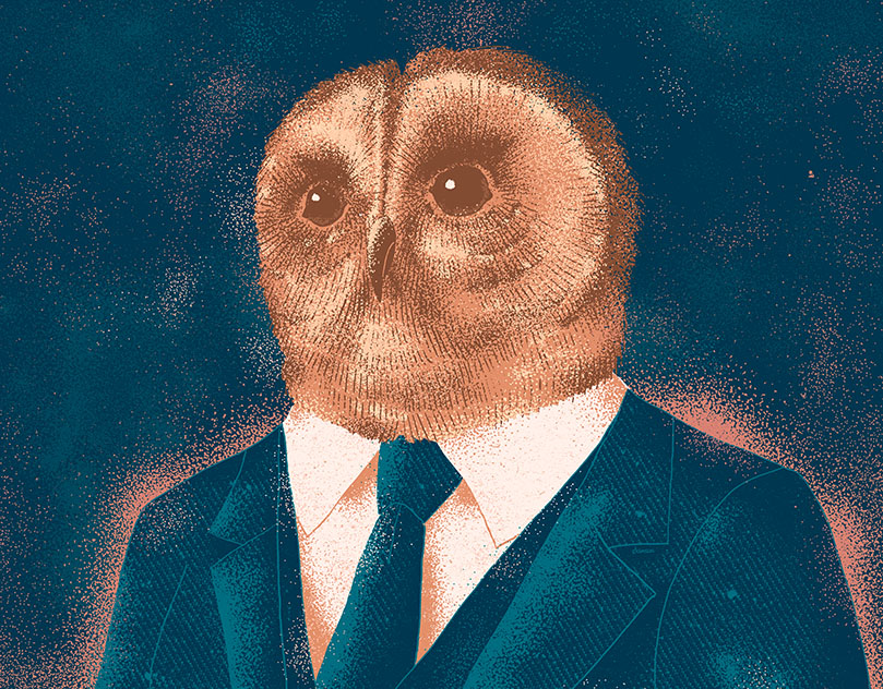 Illustration for OVO Office